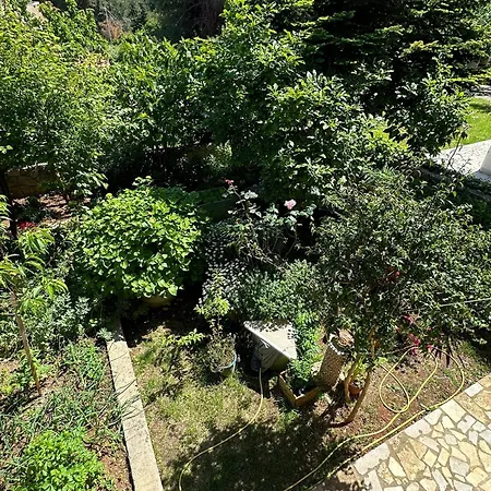 Apartments By The Sea Mali Losinj Exterior photo